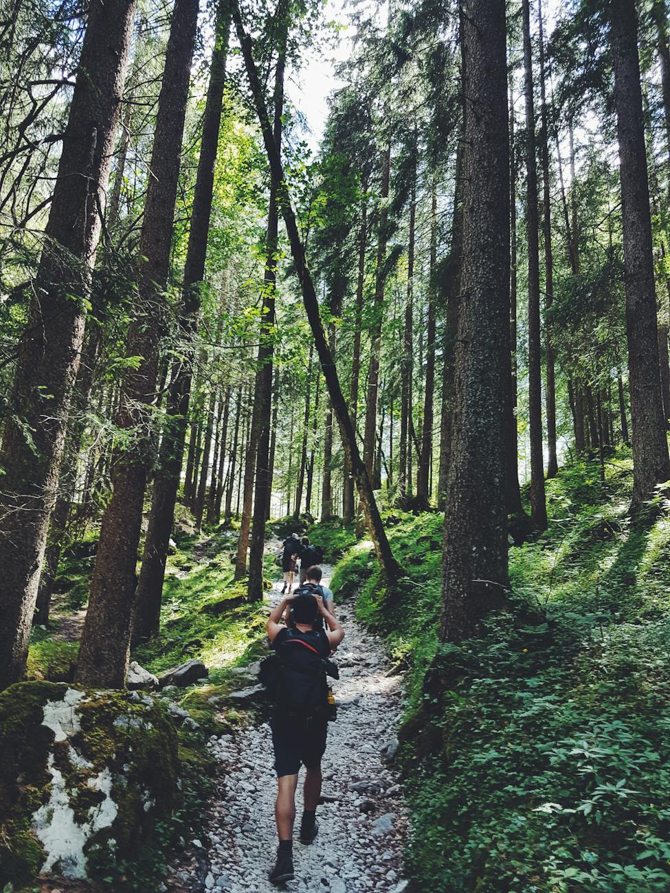 The Six Phases of Hiking For Those Without the Hiking&nbsp;Gene