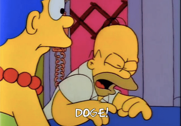 10 Examples Of The Last Words of Those Who lost Federal grants Or Were Fired By&nbsp;DOGE