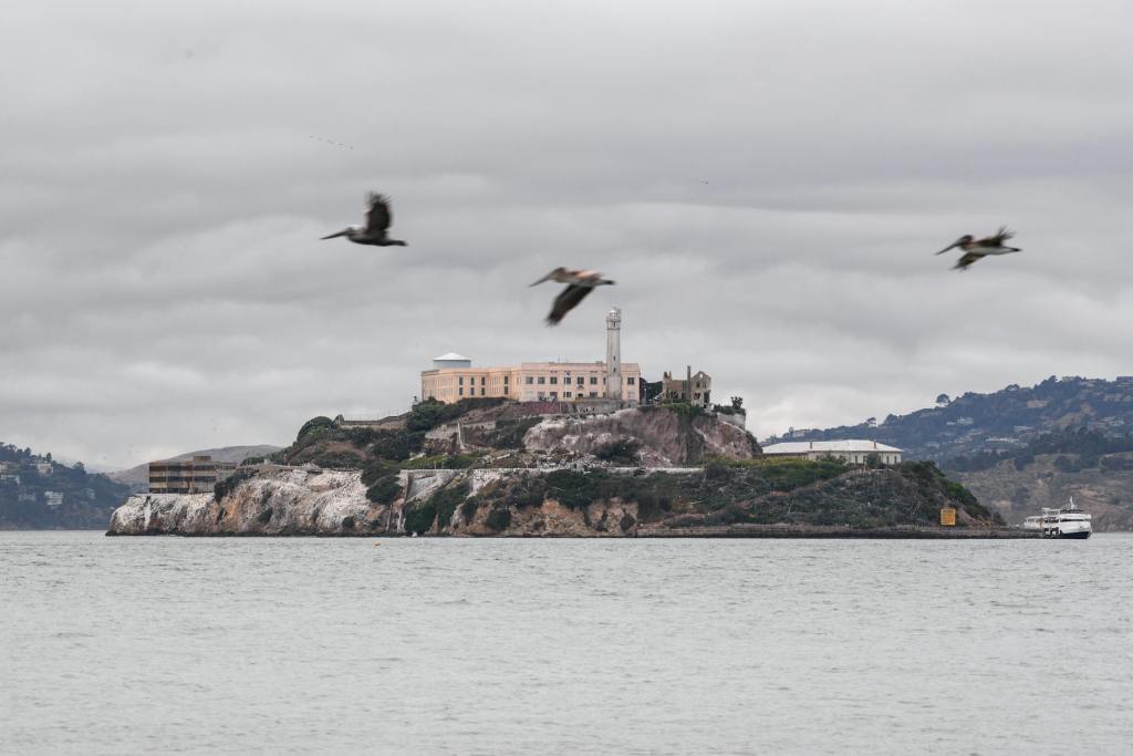 Trump Changes His Mind About Reopening Alcatraz Due To Costs. Will Just Send Lowlifes To San Francisco&nbsp;Instead